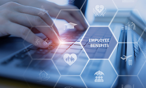 Homepage - EBP_website Homepage - EBP_website